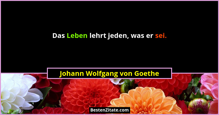 Das Leben lehrt jeden, was er sei.... - Johann Wolfgang von Goethe