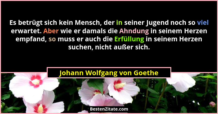 Es betrügt sich kein Mensch, der in seiner Jugend noch so viel erwartet. Aber wie er damals die Ahndung in seinem Herzen... - Johann Wolfgang von Goethe