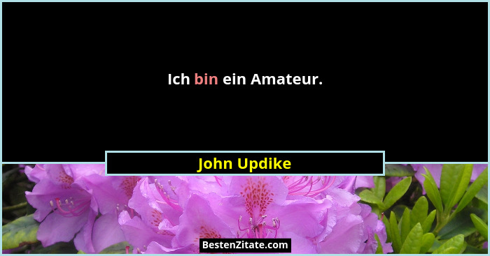 Ich bin ein Amateur.... - John Updike