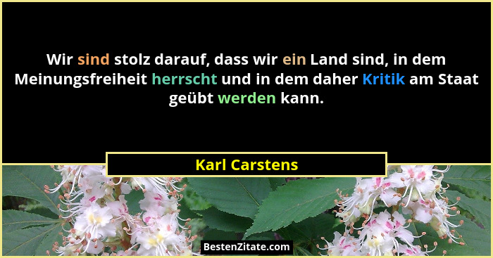 Wir sind stolz darauf, dass wir ein Land sind, in dem Meinungsfreiheit herrscht und in dem daher Kritik am Staat geübt werden kann.... - Karl Carstens