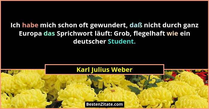 Ich habe mich schon oft gewundert, daß nicht durch ganz Europa das Sprichwort läuft: Grob, flegelhaft wie ein deutscher Student.... - Karl Julius Weber