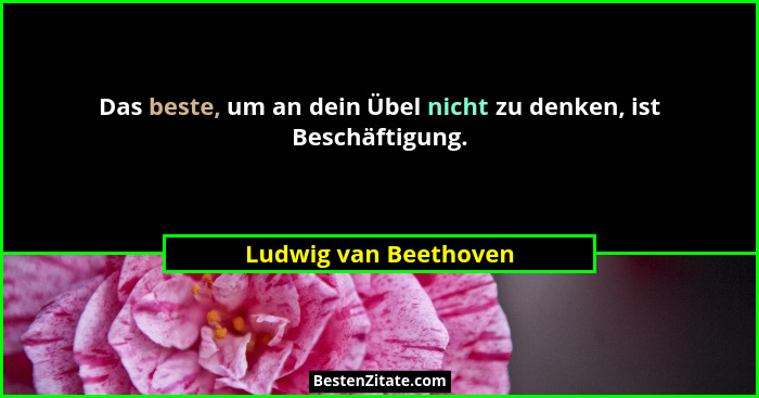 Das beste, um an dein Übel nicht zu denken, ist Beschäftigung.... - Ludwig van Beethoven