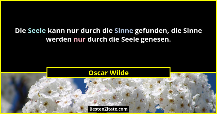 Die Seele kann nur durch die Sinne gefunden, die Sinne werden nur durch die Seele genesen.... - Oscar Wilde