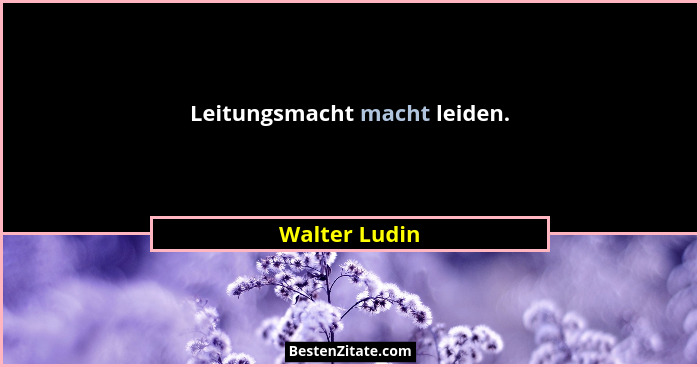 Leitungsmacht macht leiden.... - Walter Ludin