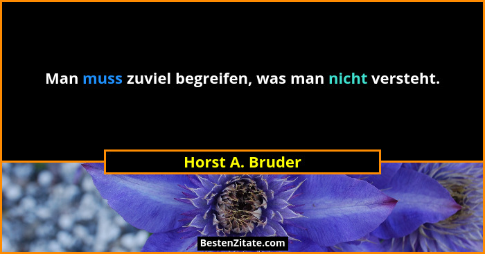 Man muss zuviel begreifen, was man nicht versteht.... - Horst A. Bruder