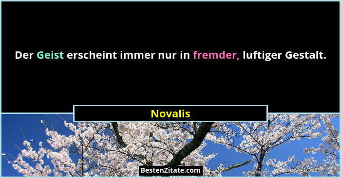 Der Geist erscheint immer nur in fremder, luftiger Gestalt.... - Novalis