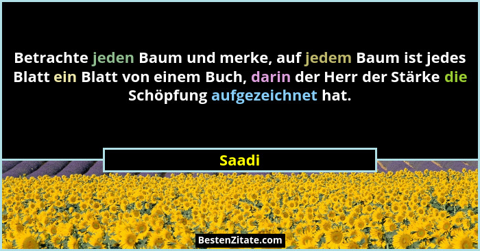 Betrachte jeden Baum und merke, auf jedem Baum ist jedes Blatt ein Blatt von einem Buch, darin der Herr der Stärke die Schöpfung aufgezeichnet... - Saadi