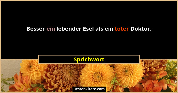 Besser ein lebender Esel als ein toter Doktor.... - Sprichwort