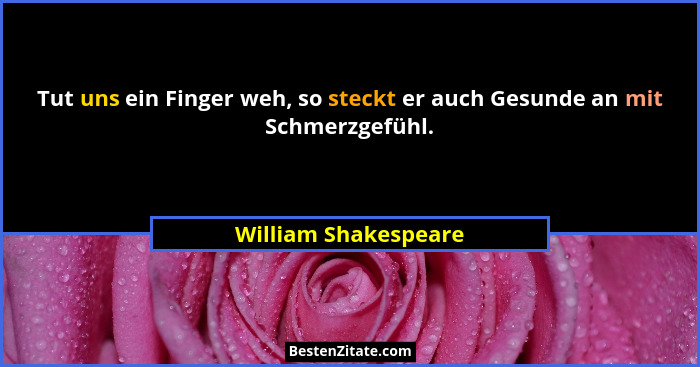 Tut uns ein Finger weh, so steckt er auch Gesunde an mit Schmerzgefühl.... - William Shakespeare