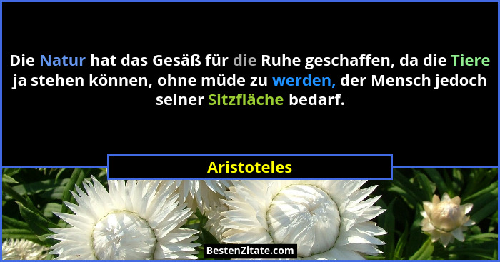 Die Natur hat das Gesäß für die Ruhe geschaffen, da die Tiere ja stehen können, ohne müde zu werden, der Mensch jedoch seiner Sitzfläche... - Aristoteles