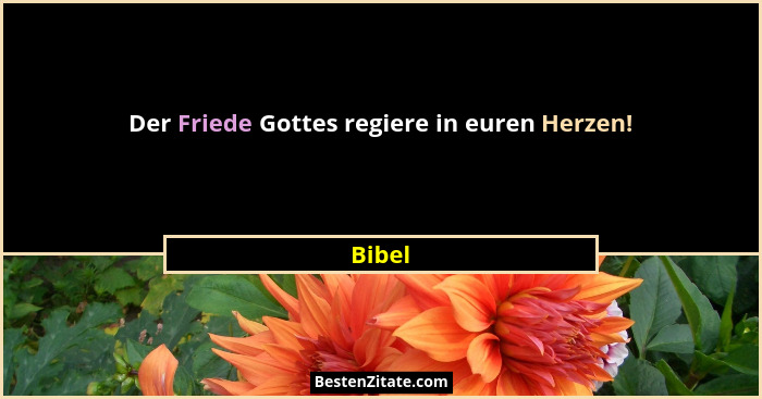 Der Friede Gottes regiere in euren Herzen!... - Bibel