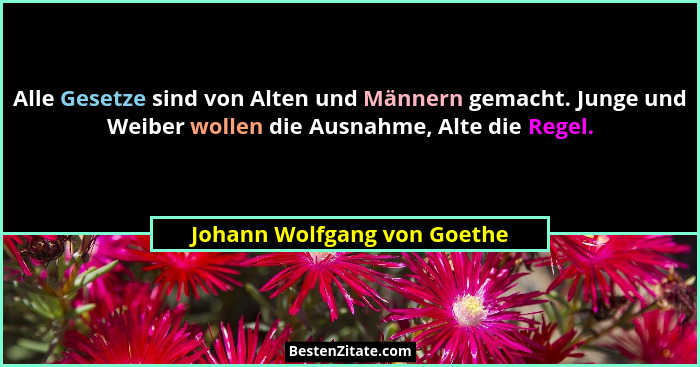 Alle Gesetze sind von Alten und Männern gemacht. Junge und Weiber wollen die Ausnahme, Alte die Regel.... - Johann Wolfgang von Goethe