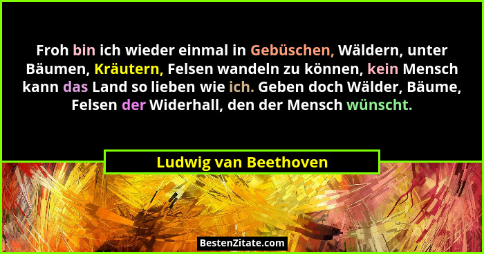 Froh bin ich wieder einmal in Gebüschen, Wäldern, unter Bäumen, Kräutern, Felsen wandeln zu können, kein Mensch kann das Land s... - Ludwig van Beethoven