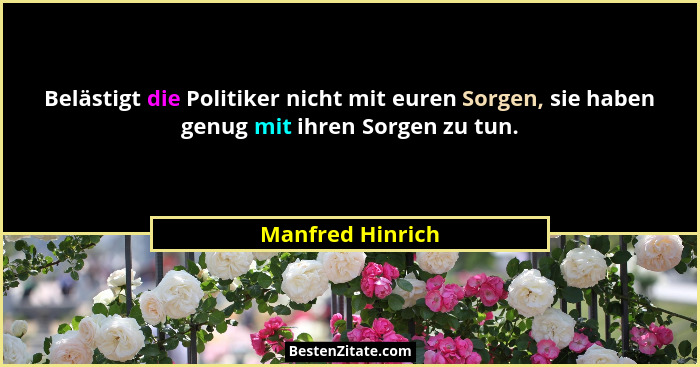 Belästigt die Politiker nicht mit euren Sorgen, sie haben genug mit ihren Sorgen zu tun.... - Manfred Hinrich