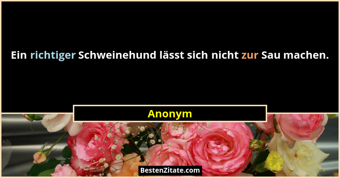 Ein richtiger Schweinehund lässt sich nicht zur Sau machen.... - Anonym