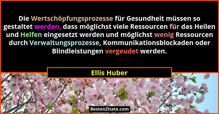 Die Wertschöpfungsprozesse für Gesundheit müssen so gestaltet werden, dass möglichst viele Ressourcen für das Heilen und Helfen eingeset... - Ellis Huber