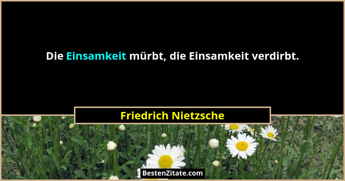 Die Einsamkeit mürbt, die Einsamkeit verdirbt.... - Friedrich Nietzsche