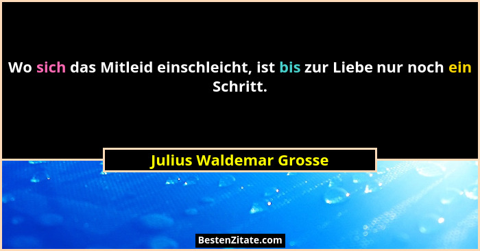 Wo sich das Mitleid einschleicht, ist bis zur Liebe nur noch ein Schritt.... - Julius Waldemar Grosse