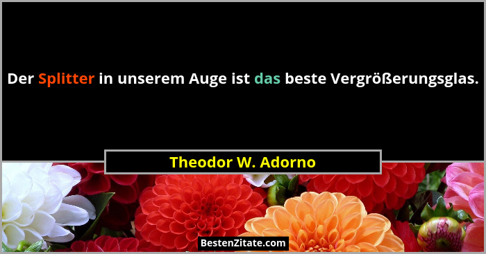 Der Splitter in unserem Auge ist das beste Vergrößerungsglas.... - Theodor W. Adorno