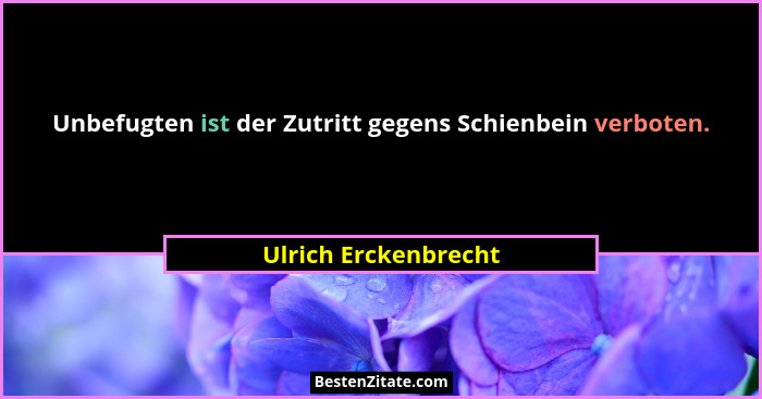 Unbefugten ist der Zutritt gegens Schienbein verboten.... - Ulrich Erckenbrecht