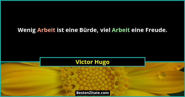 Wenig Arbeit ist eine Bürde, viel Arbeit eine Freude.... - Victor Hugo
