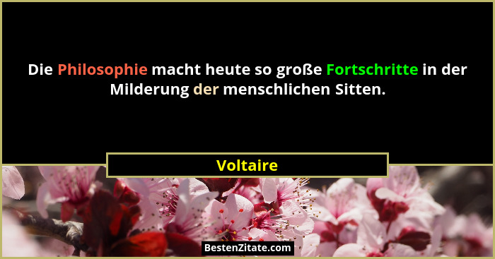 Voltaire Die Philosophie Macht Heute So Grosse Fortschritte