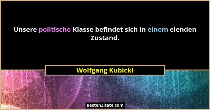 Unsere politische Klasse befindet sich in einem elenden Zustand.... - Wolfgang Kubicki