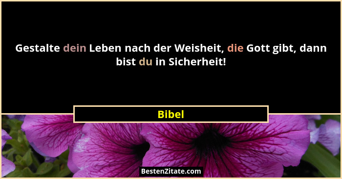 Gestalte dein Leben nach der Weisheit, die Gott gibt, dann bist du in Sicherheit!... - Bibel