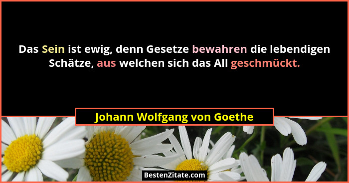 Das Sein ist ewig, denn Gesetze bewahren die lebendigen Schätze, aus welchen sich das All geschmückt.... - Johann Wolfgang von Goethe