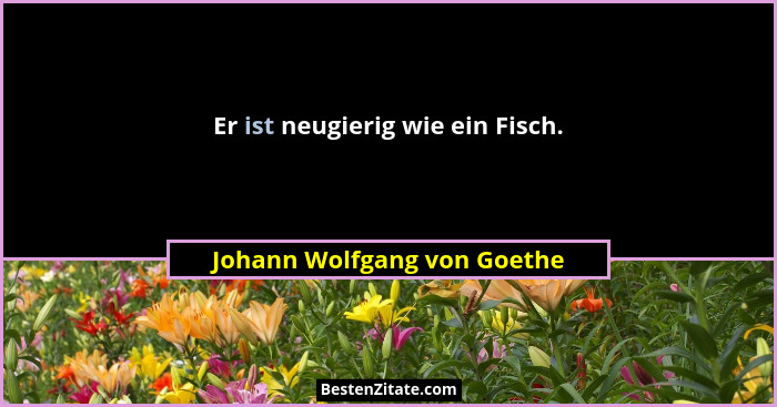 Er ist neugierig wie ein Fisch.... - Johann Wolfgang von Goethe
