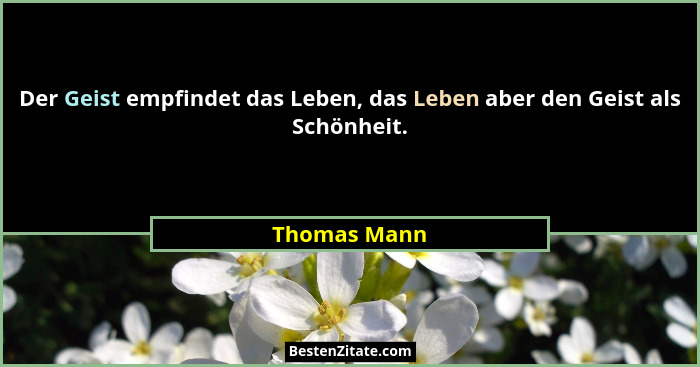 Der Geist empfindet das Leben, das Leben aber den Geist als Schönheit.... - Thomas Mann