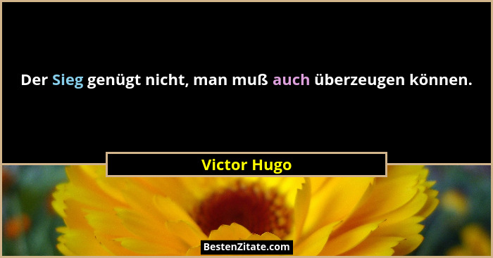 Der Sieg genügt nicht, man muß auch überzeugen können.... - Victor Hugo
