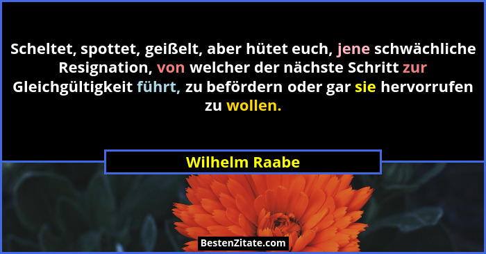 Scheltet, spottet, geißelt, aber hütet euch, jene schwächliche Resignation, von welcher der nächste Schritt zur Gleichgültigkeit führt... - Wilhelm Raabe