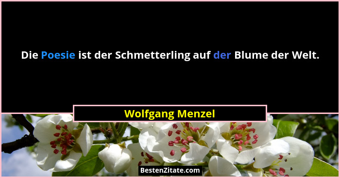 Die Poesie ist der Schmetterling auf der Blume der Welt.... - Wolfgang Menzel