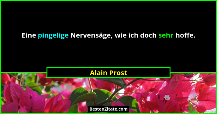 Eine pingelige Nervensäge, wie ich doch sehr hoffe.... - Alain Prost