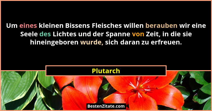 Um eines kleinen Bissens Fleisches willen berauben wir eine Seele des Lichtes und der Spanne von Zeit, in die sie hineingeboren wurde, sich... - Plutarch