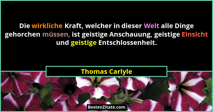 Die wirkliche Kraft, welcher in dieser Welt alle Dinge gehorchen müssen, ist geistige Anschauung, geistige Einsicht und geistige Ents... - Thomas Carlyle