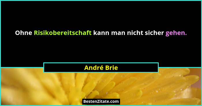 Ohne Risikobereitschaft kann man nicht sicher gehen.... - André Brie