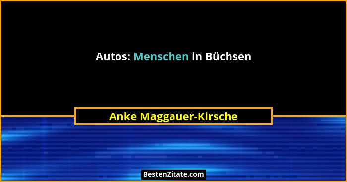 Autos: Menschen in Büchsen... - Anke Maggauer-Kirsche