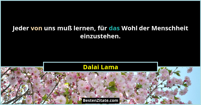 Jeder von uns muß lernen, für das Wohl der Menschheit einzustehen.... - Dalai Lama