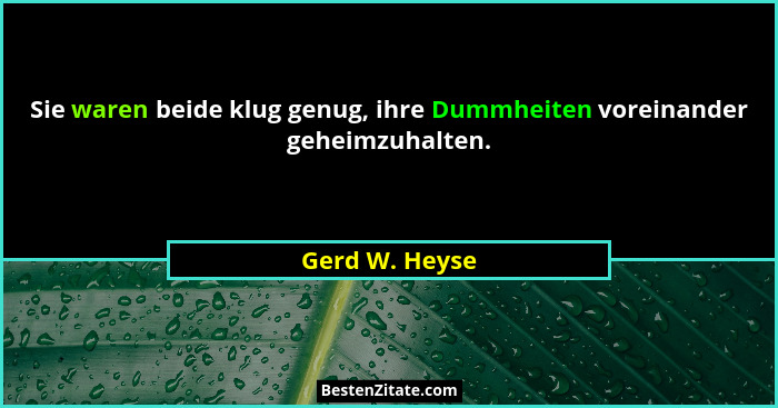 Sie waren beide klug genug, ihre Dummheiten voreinander geheimzuhalten.... - Gerd W. Heyse