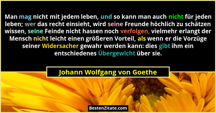 Man mag nicht mit jedem leben, und so kann man auch nicht für jeden leben; wer das recht einsieht, wird seine Freunde höc... - Johann Wolfgang von Goethe