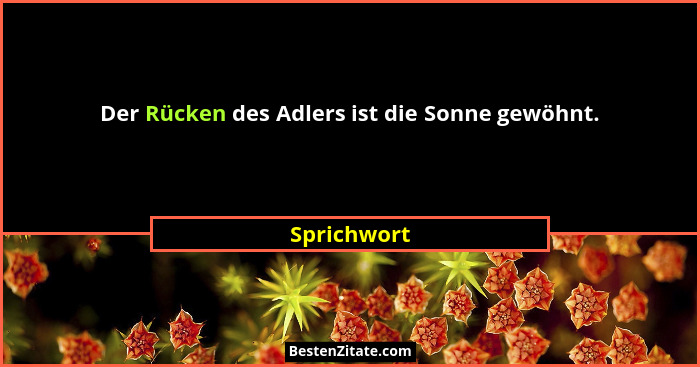 Der Rücken des Adlers ist die Sonne gewöhnt.... - Sprichwort