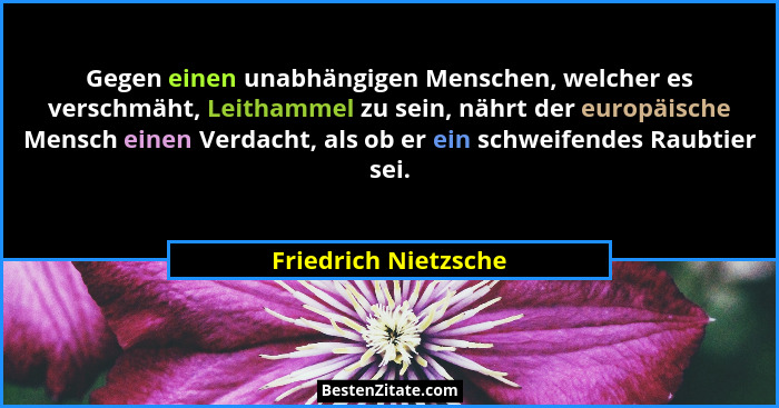 Gegen einen unabhängigen Menschen, welcher es verschmäht, Leithammel zu sein, nährt der europäische Mensch einen Verdacht, als o... - Friedrich Nietzsche
