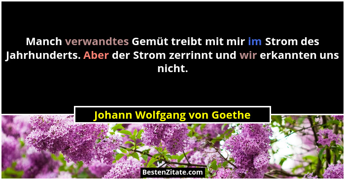 Manch verwandtes Gemüt treibt mit mir im Strom des Jahrhunderts. Aber der Strom zerrinnt und wir erkannten uns nicht.... - Johann Wolfgang von Goethe