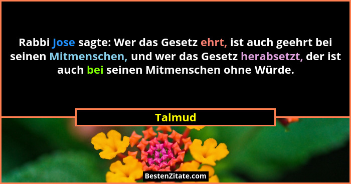 Rabbi Jose sagte: Wer das Gesetz ehrt, ist auch geehrt bei seinen Mitmenschen, und wer das Gesetz herabsetzt, der ist auch bei seinen Mitmens... - Talmud