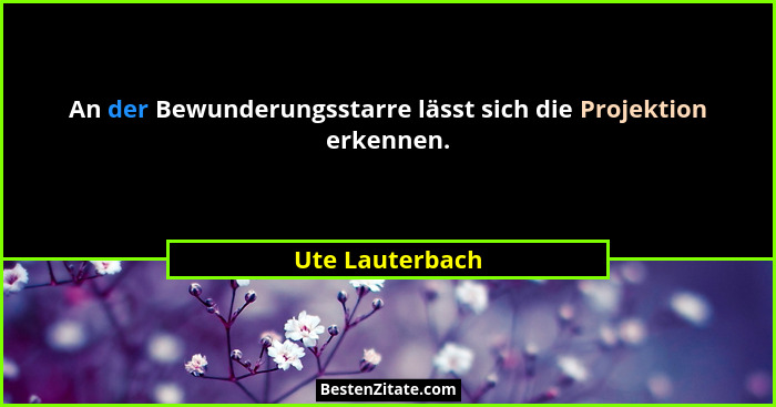 An der Bewunderungsstarre lässt sich die Projektion erkennen.... - Ute Lauterbach
