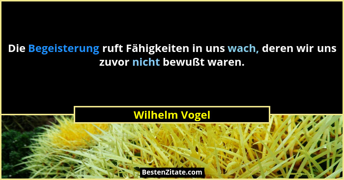 Die Begeisterung ruft Fähigkeiten in uns wach, deren wir uns zuvor nicht bewußt waren.... - Wilhelm Vogel