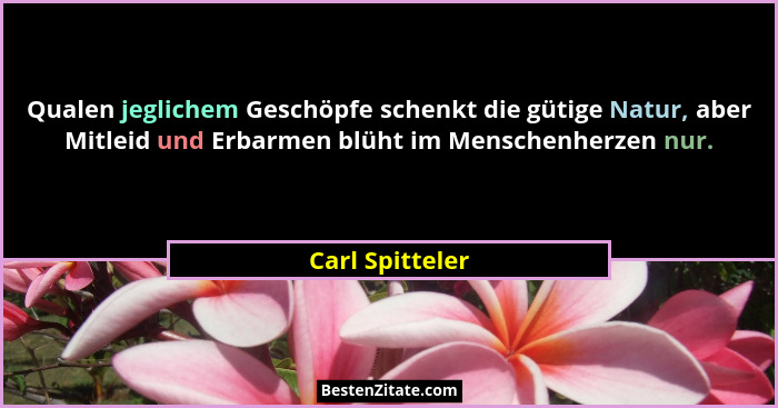 Qualen jeglichem Geschöpfe schenkt die gütige Natur, aber Mitleid und Erbarmen blüht im Menschenherzen nur.... - Carl Spitteler
