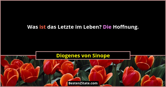 Was ist das Letzte im Leben? Die Hoffnung.... - Diogenes von Sinope